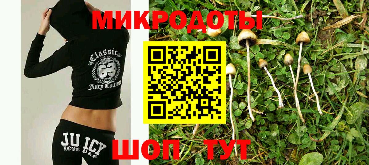 Псилоцибиновые грибы мухоморы Трёхгорный